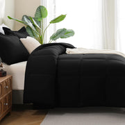 Lightweight Queen Comforter & Sham Set